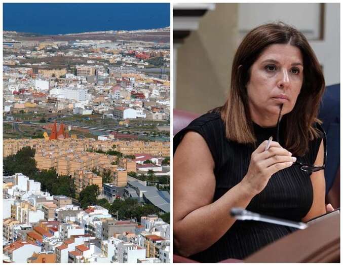 Vista aérea del sector de Las Longueras y de la impulsora del proyecto, Carmen Hernández/TA.